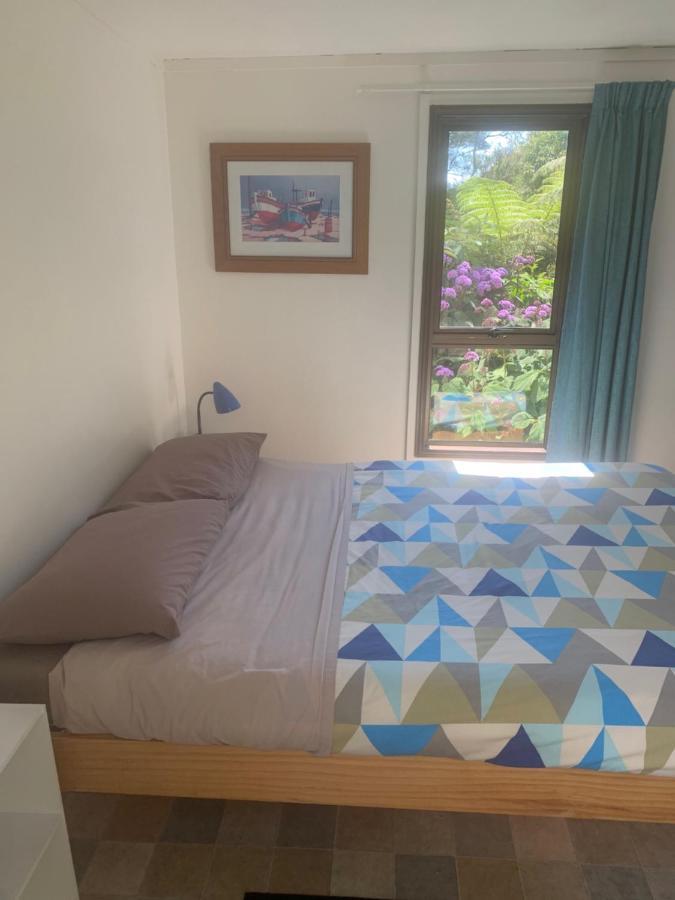Pickled Parrot - Boutique Hostel 派西亚 外观 照片